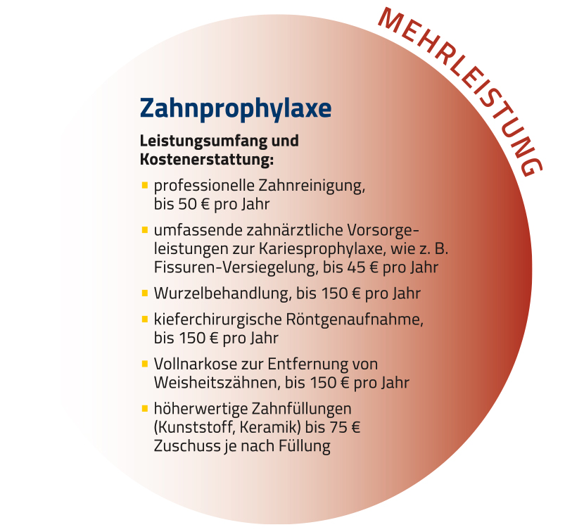 BKK Voralb Gesundheitskonto, Grafik Zahnprophylaxe mit dem Text, der im Lesetext steht.